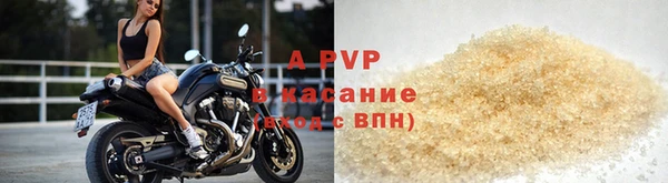 стаф Зеленокумск